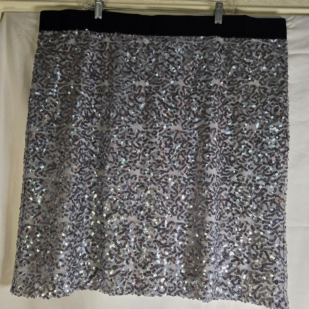 Silver Sequins Skirt